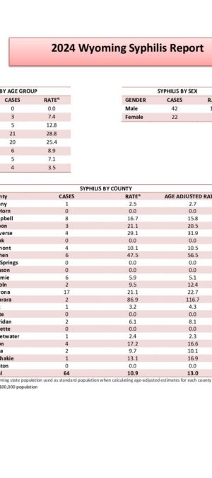 3. Updated Reconciled SyphilisRates 2024_Final