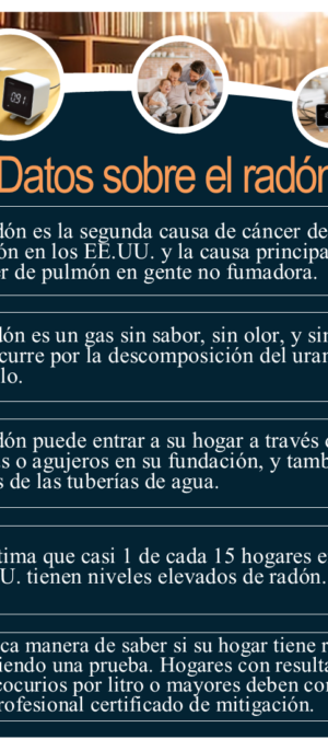 step by step card ecosense SPANISH data page