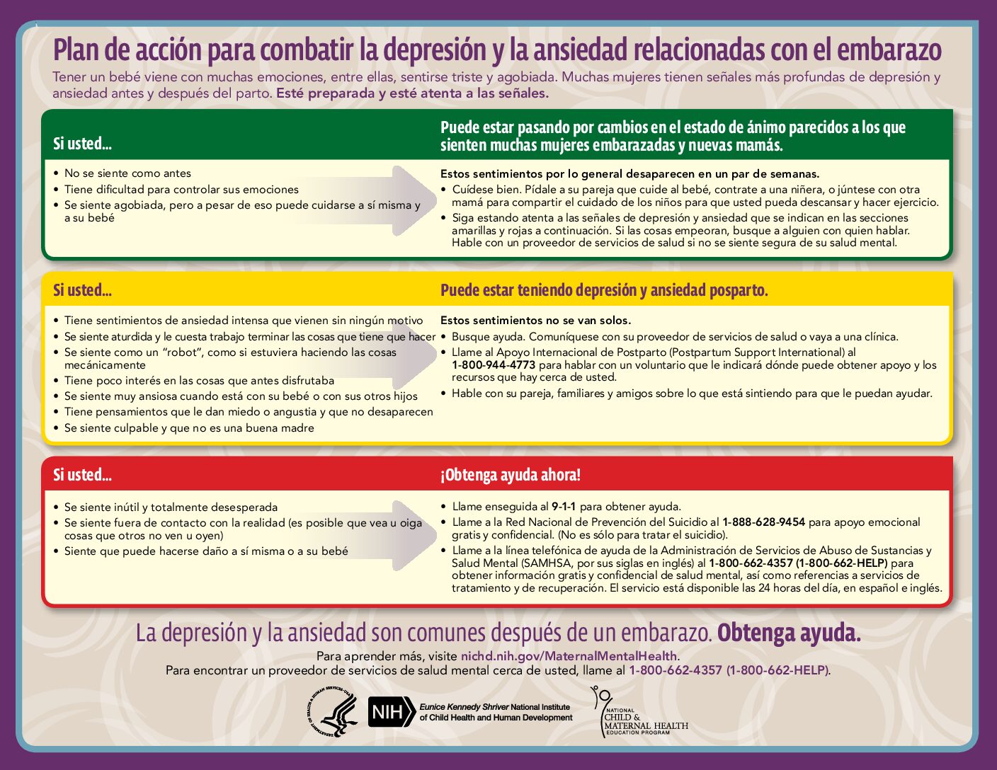 Action plan around depression and anxiety during pregnancy in spanish