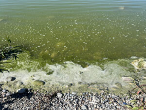 Lake water with HCBs