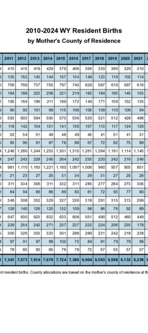 2024ARB01-ResBirthsCounty-2026