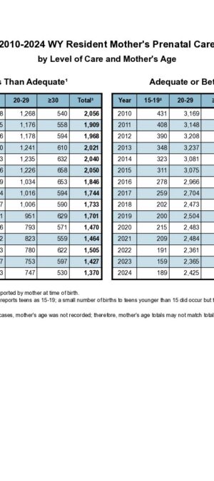2024ARB15-PrenatalCare-2026