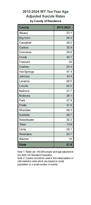2024ARD10-Suicide10Year-2026