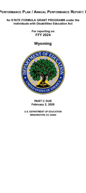 FFY2024 Annual Performance Report, Scores, and Determination